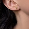 Travel earrings 925° Earings