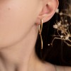 Taylor Earrings  Earings